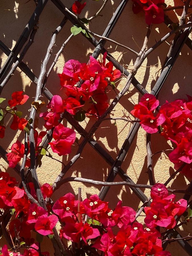 Agriturismo Le Merline Arnasco المظهر الخارجي الصورة
