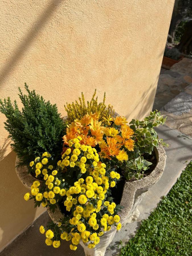 Agriturismo Le Merline Arnasco المظهر الخارجي الصورة